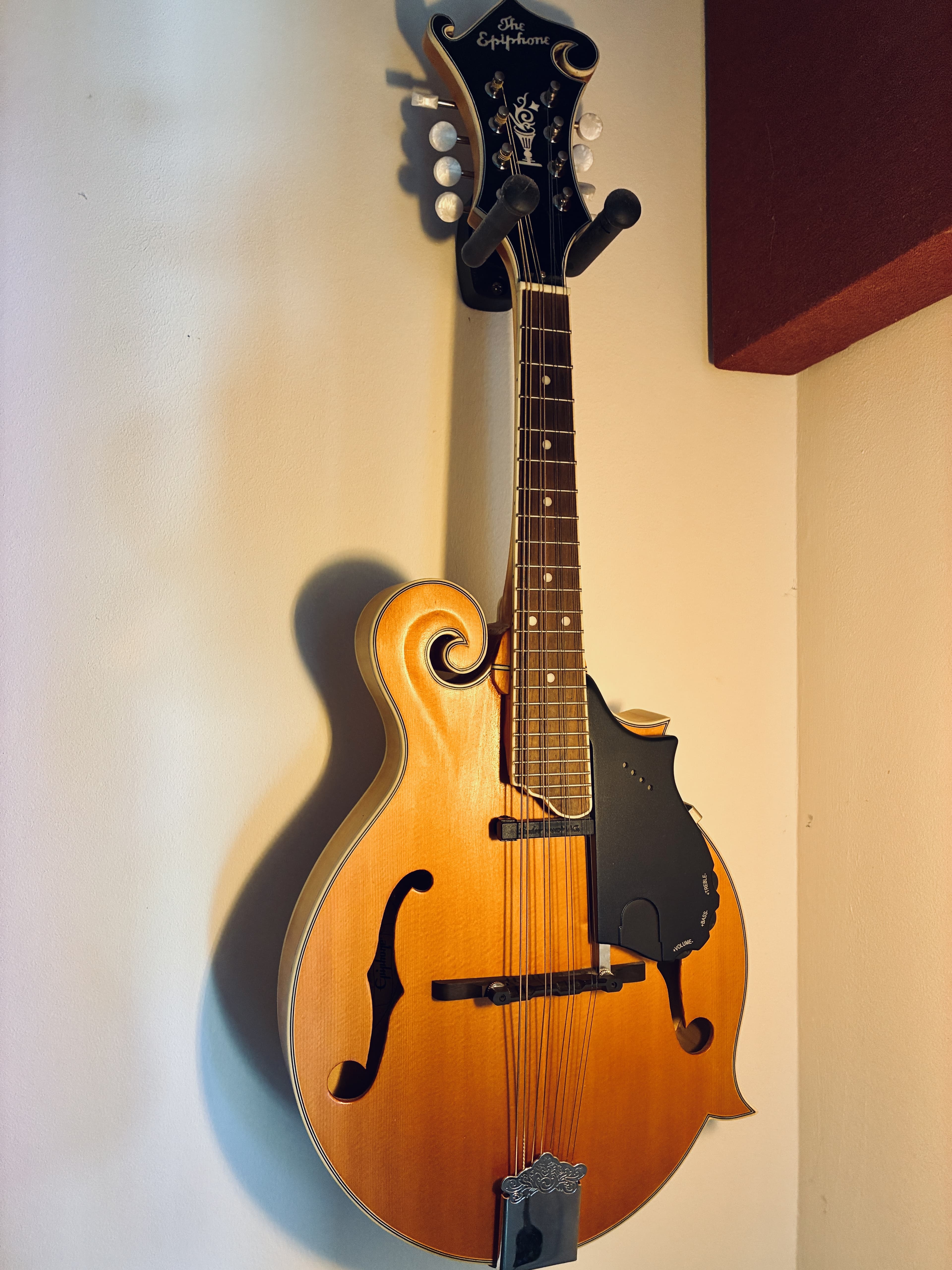 Vends mandoline Epiphone MM-50E professional