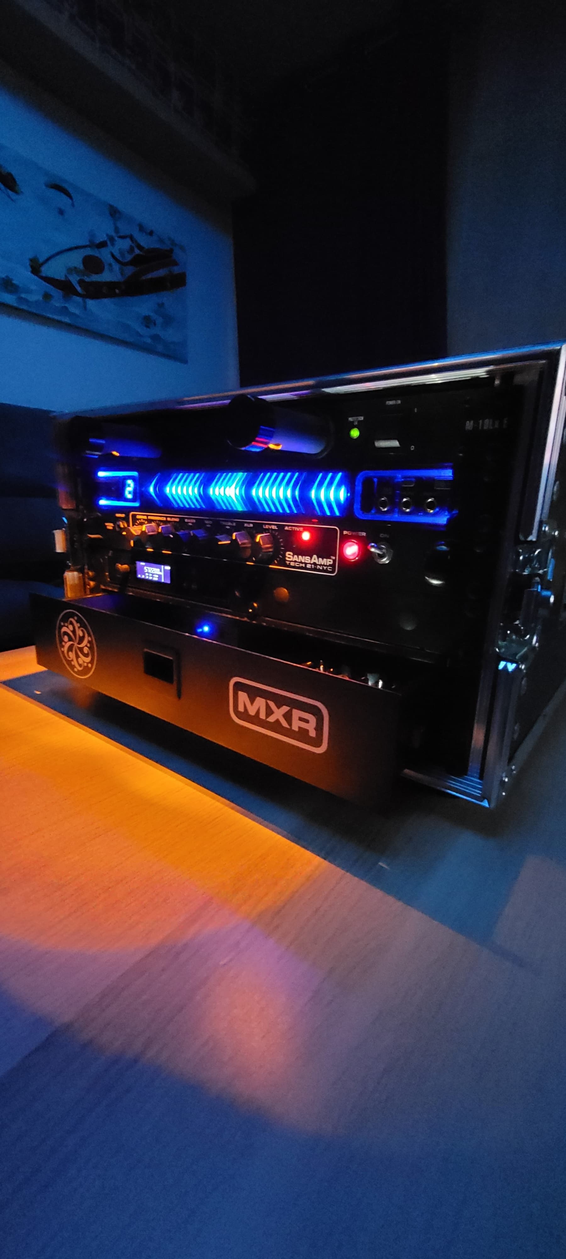 Korg Pitchblack Pro (Rack)