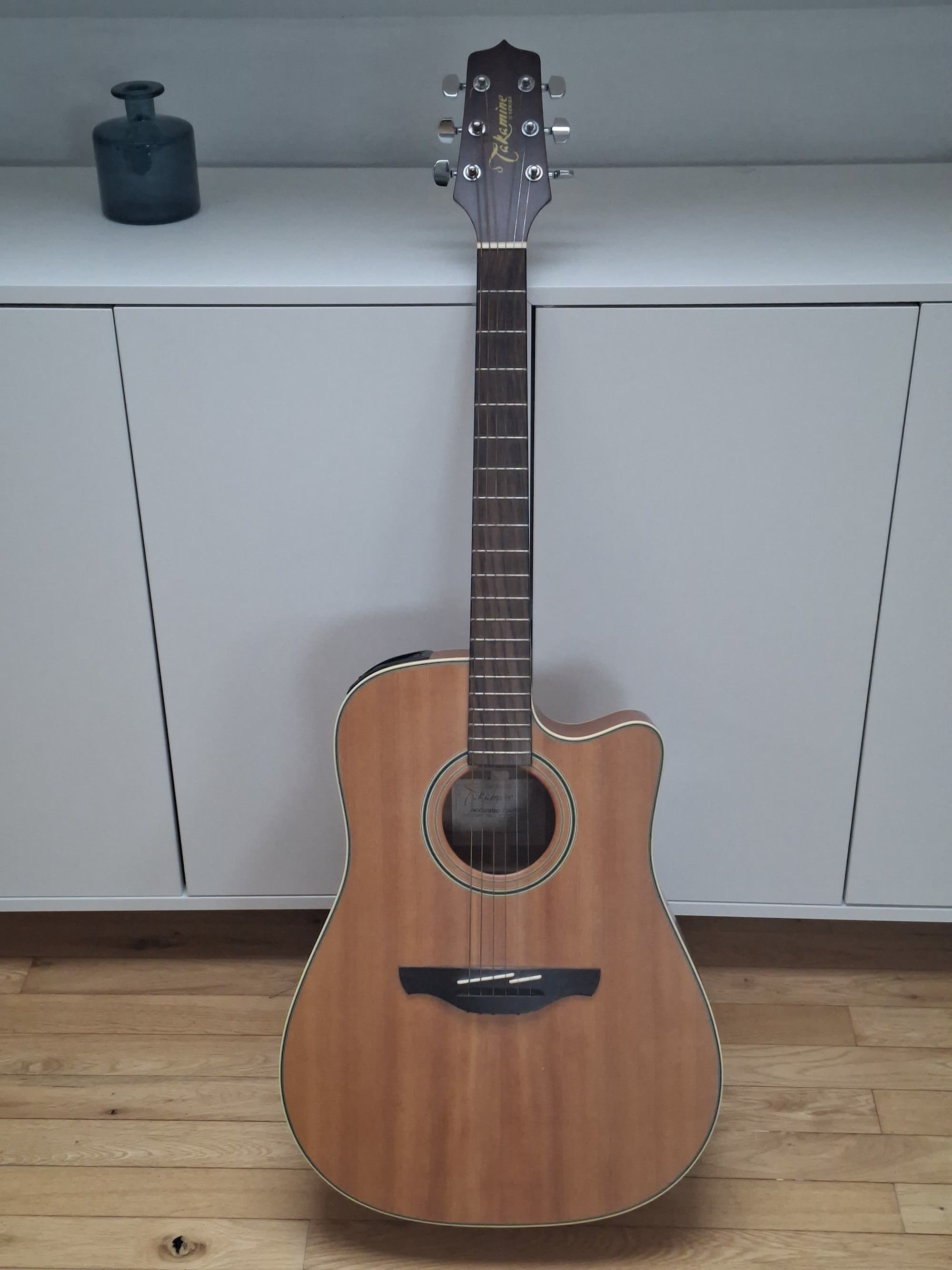 Vends electro acoustique takamine EG510sc