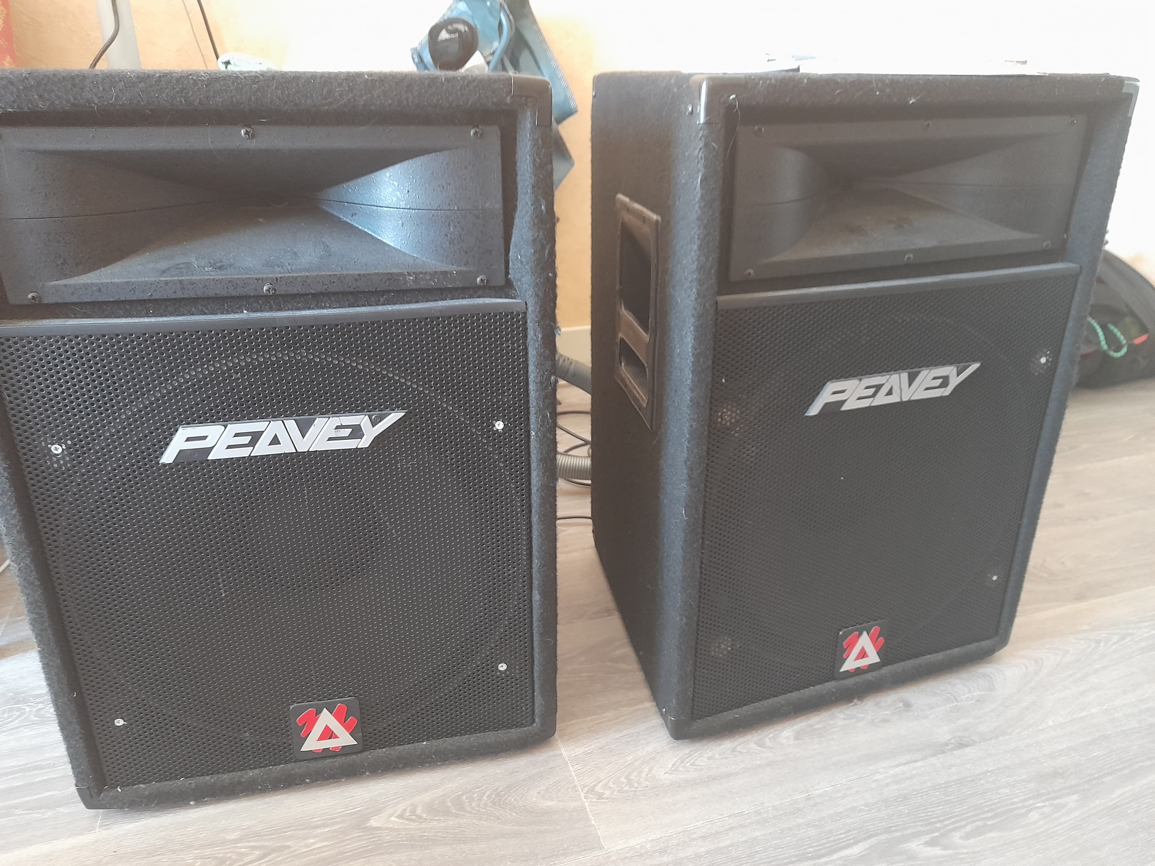 Enceintes passives Peavey Eurosys 500XT
