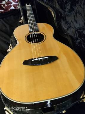 Breedlove premier parlor
