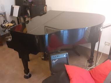 Pianoforte a coda perfette condizioni