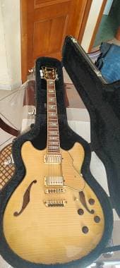 Ibanez artcore as103 custom