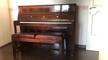 Schimmel 114 Ch