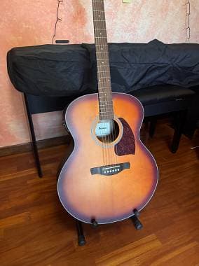 Ibanez PJ50E-OAH