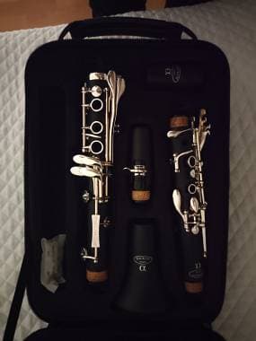 Clarinetto sib Backun Alpha + Vandoren B40 HD