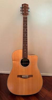 Eastman AC220CE