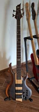 ESP LtD F-4E