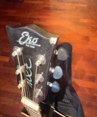 Eko Guitars NXT