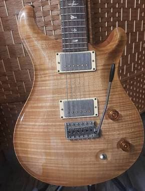 PRS Custom 22 10-Top 2008 - Vintage Natural, Dragon II