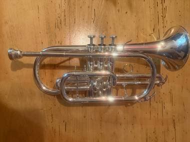 Yamaha Ycr6335II argentata