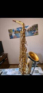 Borgani Pearl gold jubilee 24k