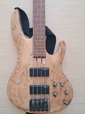 ESP B-204FL
