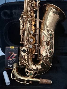 Borgani RoyalWinds RAS 55 Alto Sax