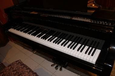 Vendo Bechstein Hoffman 183V
