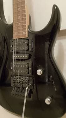 Aram Floyd rose