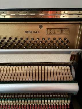 Kawai Special BL-51 Ottime condizioni