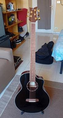 Ortega D8CE-5 Deep - Basso Acustico 5 Corde