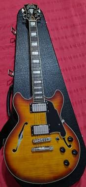 D'Angelico Guitars Premier Mini Dc