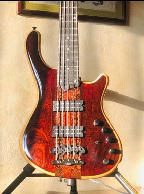 Mayones Prestige 5