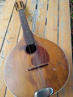 Mandola-Cetra del bosco Waldzither