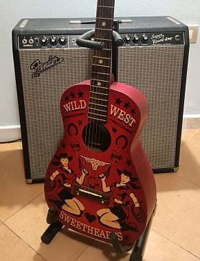 Chitarra Acustica Gretsch G4530 Wild West Sweethearts