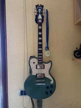 D'Angelico Guitars Premier deluxe