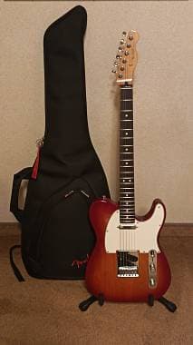 Fender Telecaster Player II perfetta