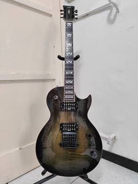 Vgs Guitars Eruption Pro Evertune