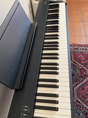 Roland FP30x + support