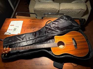 Fender Victor Bailey Signature Acoustic Bass (4 Corde)