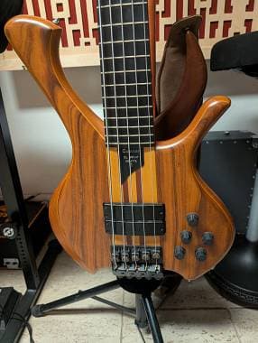 Laurus SL 5 Corde Bartolini