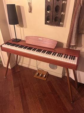 Donner DDP-80