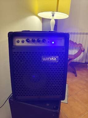 Warwick BC20