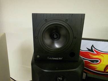 Acoustic May Bontone