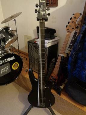 Ibanez GWB35