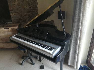 Scocca pianoforte 1/4 coda nero lucido