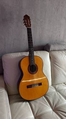 Privada MP 12