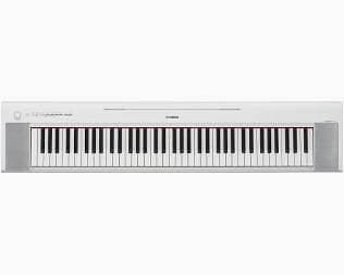Yamaha piaggero np32