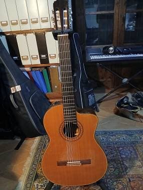 Takamine CP132SC