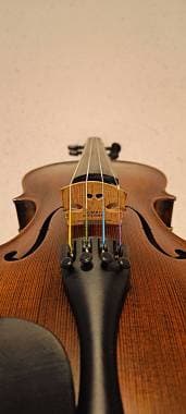 Stentor Verona Violin 4/4 (2024)