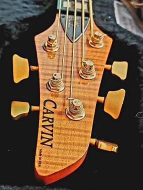 Vendo Carvin 5 corde Made in Usa