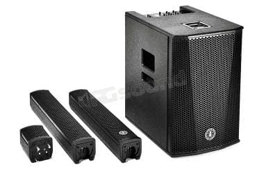 Coppia DB Technologies Ant into music b twig pro 12