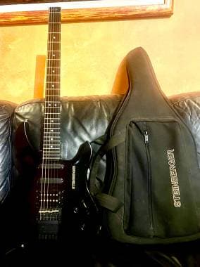 Steinberger Gr
