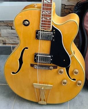 Washburn J6 hollowbody L5