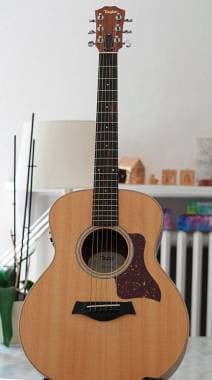 Taylor GS mini e