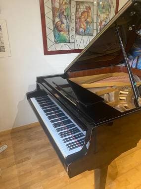 Vendesi pianoforte mezza coda usato Petrof