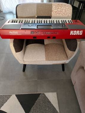 Korg Pa 700 Red