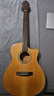 Crafter chitarra acustica elettrificata