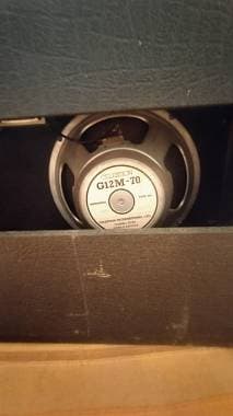Marshall Jcm 800 lead 50